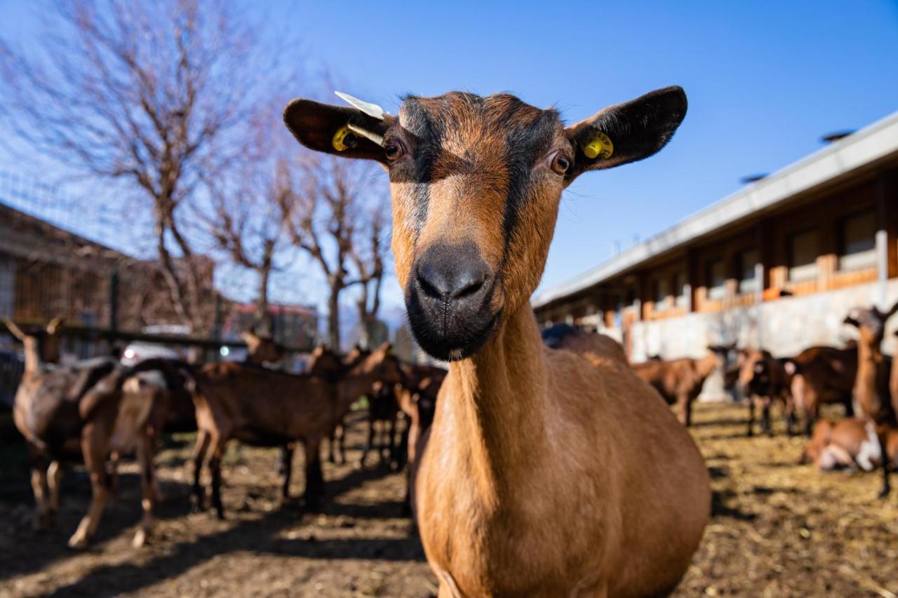 Agriturismo La Fiorida Mantello Dış mekan fotoğraf
